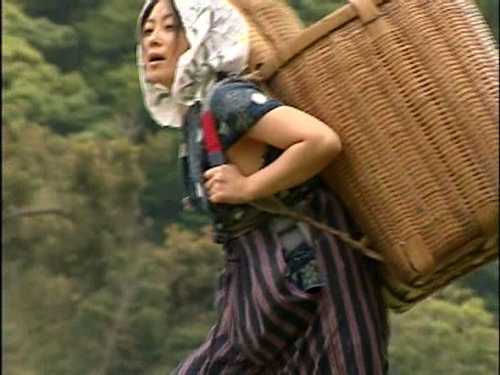 サンプル画像 5
