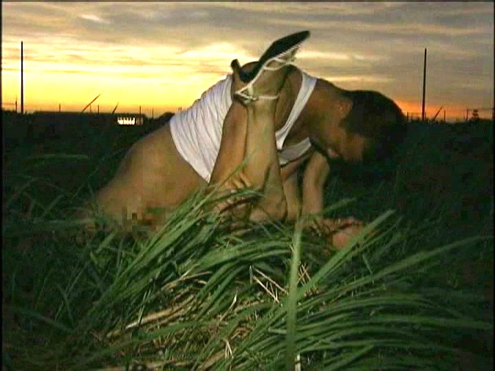 サンプル画像 4