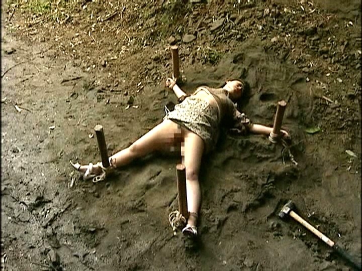 サンプル画像 11