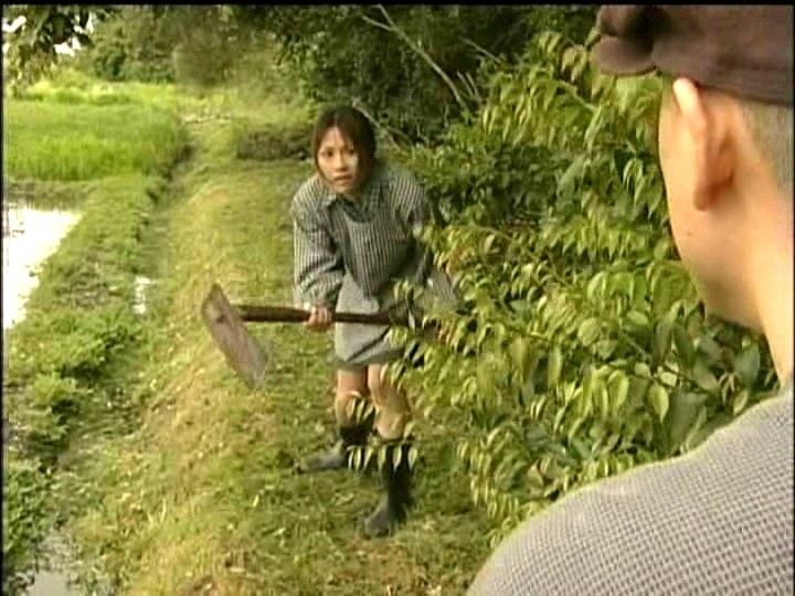 サンプル画像 5