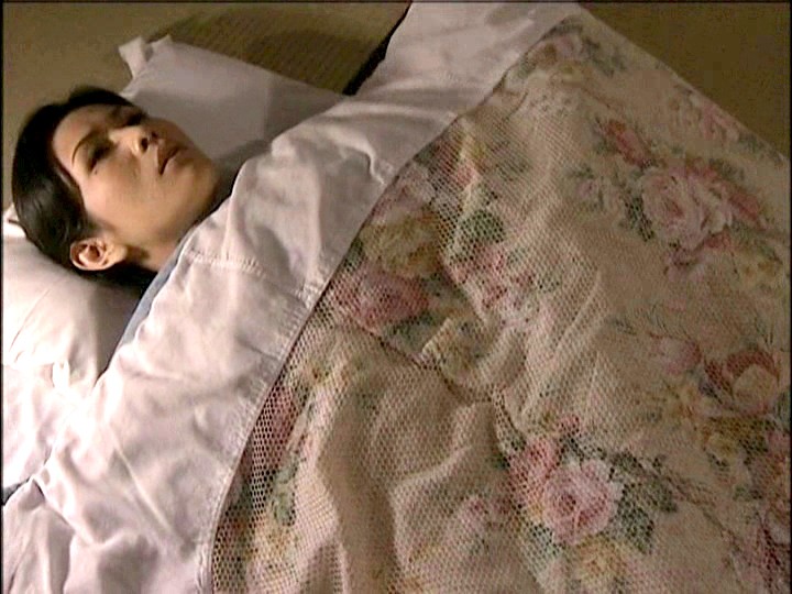 サンプル画像 14