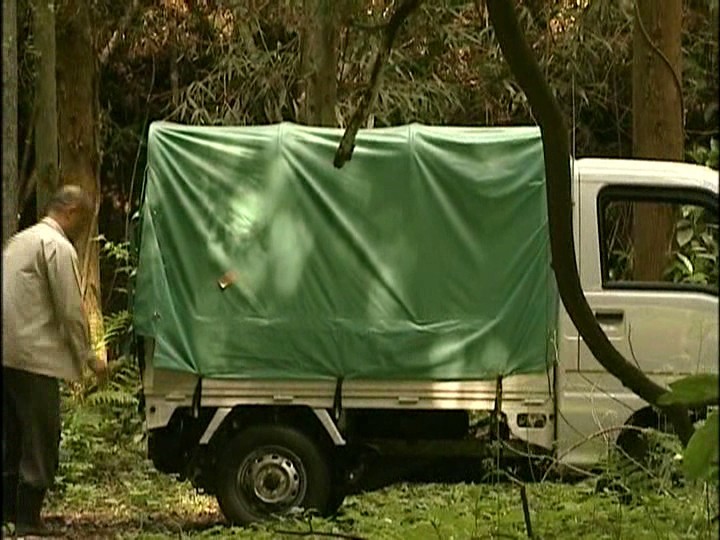 サンプル画像 18