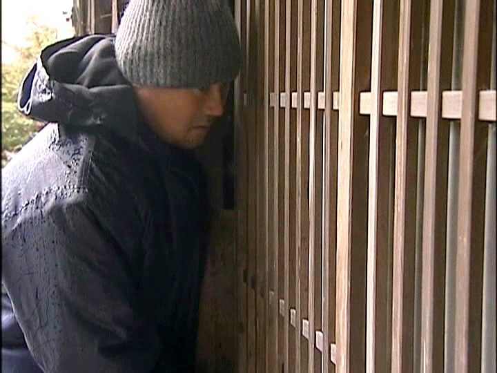 サンプル画像 16