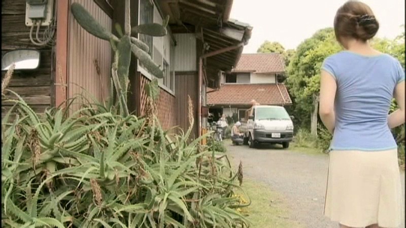 サンプル画像 8