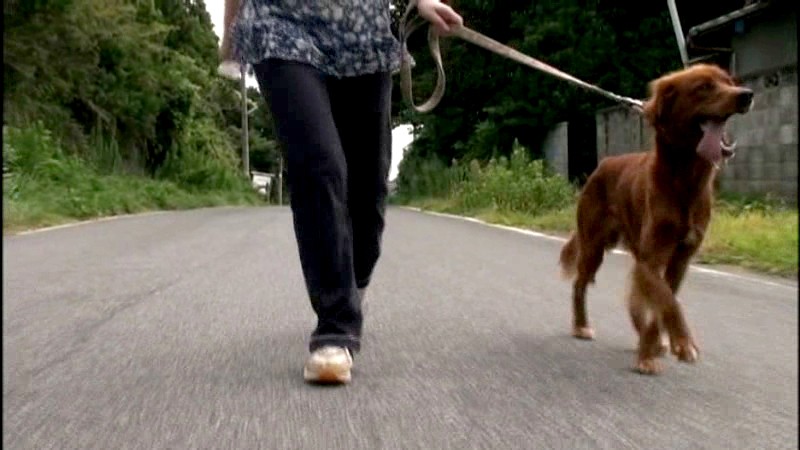 サンプル画像 2