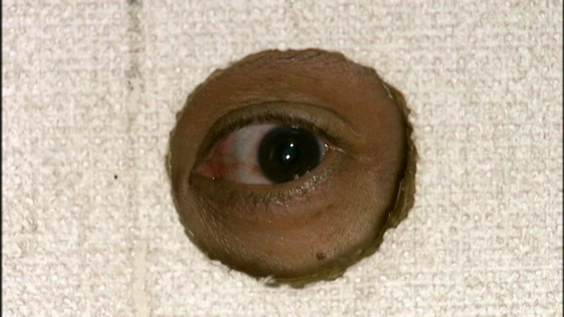 サンプル画像 5