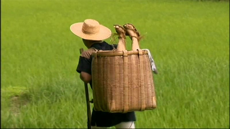 サンプル画像 16