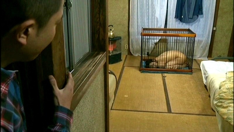 サンプル画像 19