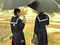 サンプル画像 17
