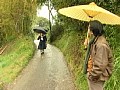 サンプル画像 18