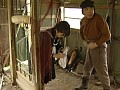 サンプル画像 21
