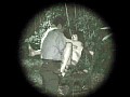 サンプル画像 24