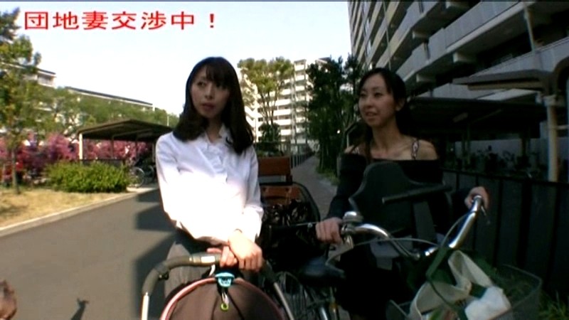 サンプル画像 13