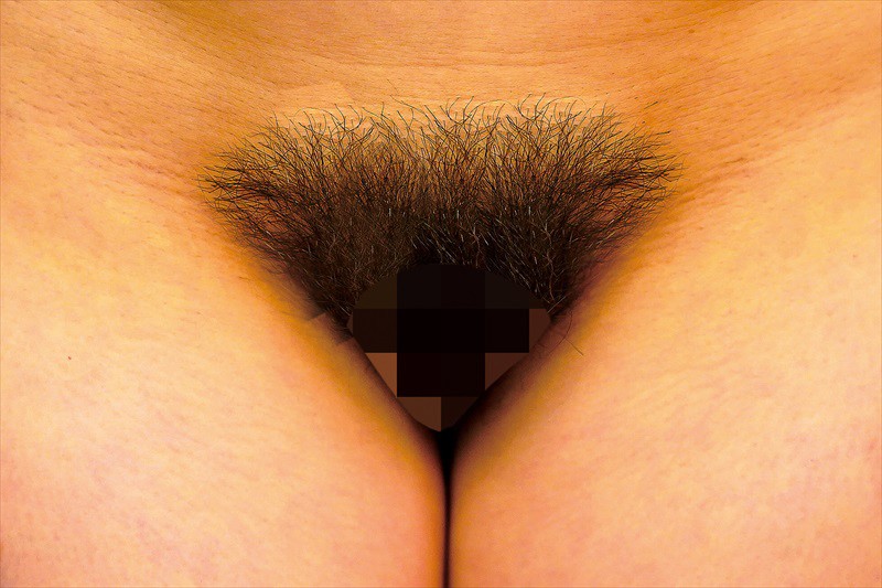 サンプル画像 11