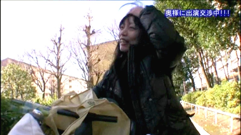 サンプル画像 16