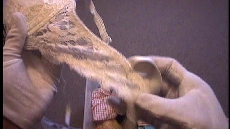 サンプル画像 7