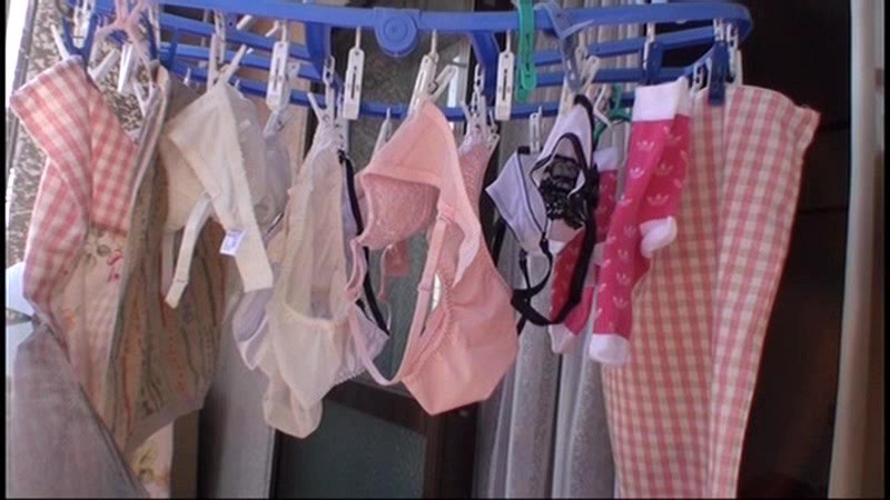 サンプル画像 5