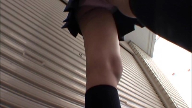 サンプル画像 6