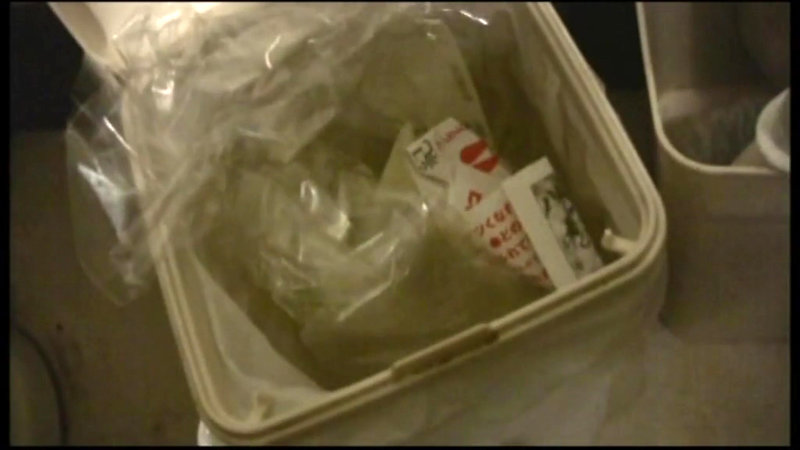 サンプル画像 2