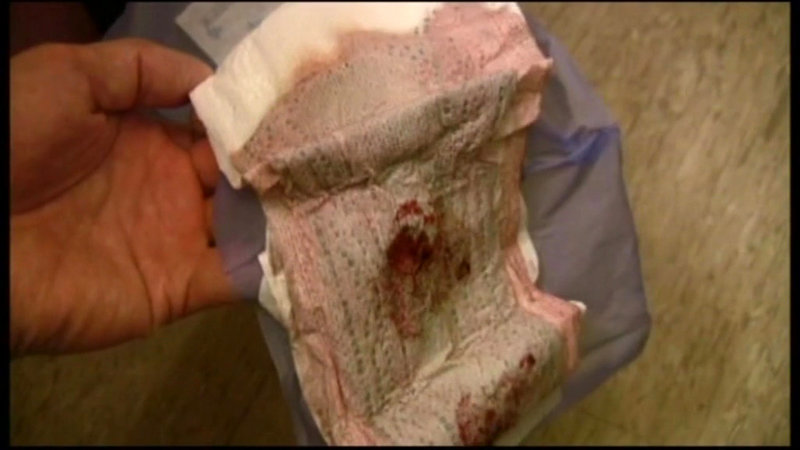 サンプル画像 11