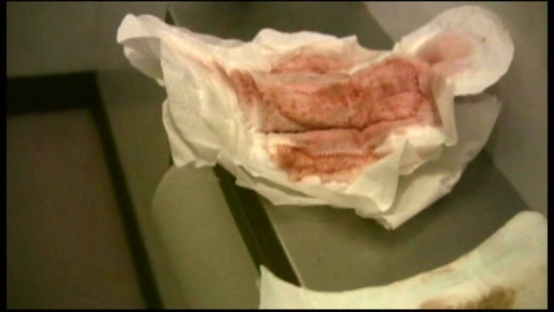 サンプル画像 13