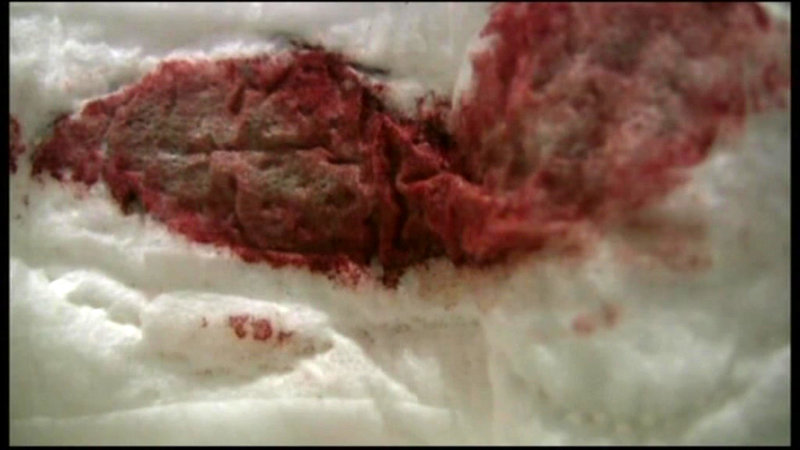 サンプル画像 14