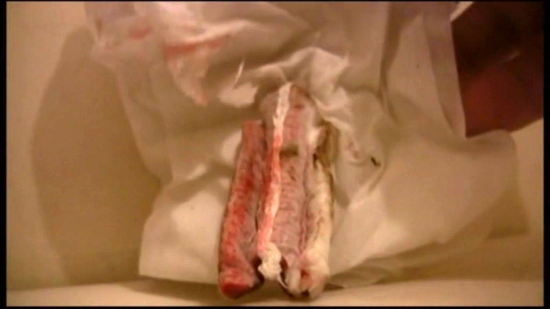 サンプル画像 15