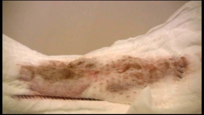 サンプル画像 16