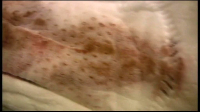 サンプル画像 17