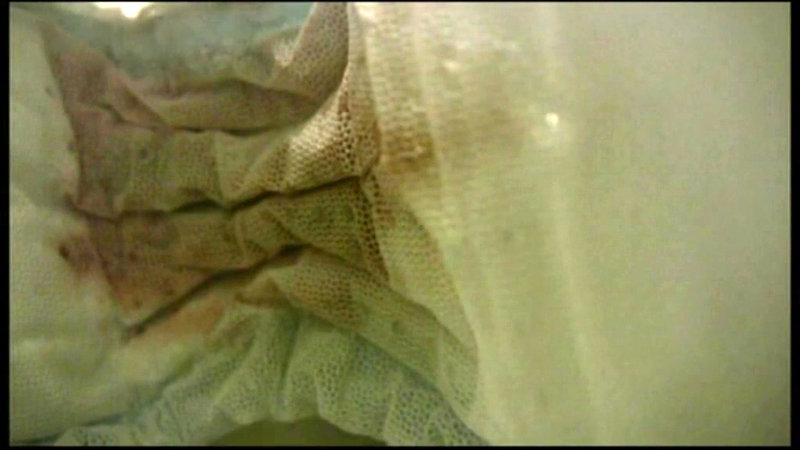 サンプル画像 18