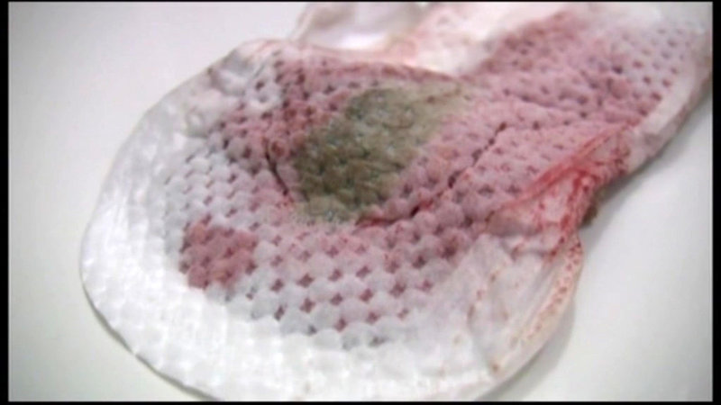 サンプル画像 19