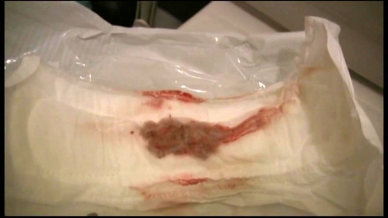 サンプル画像 20