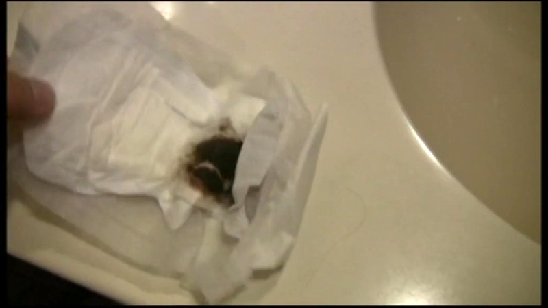 サンプル画像 3