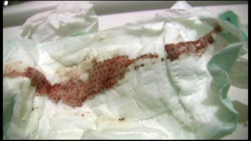 サンプル画像 21