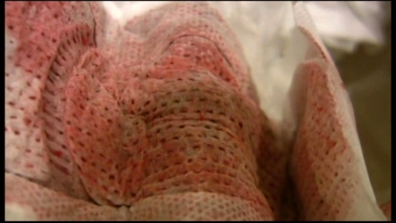 サンプル画像 4