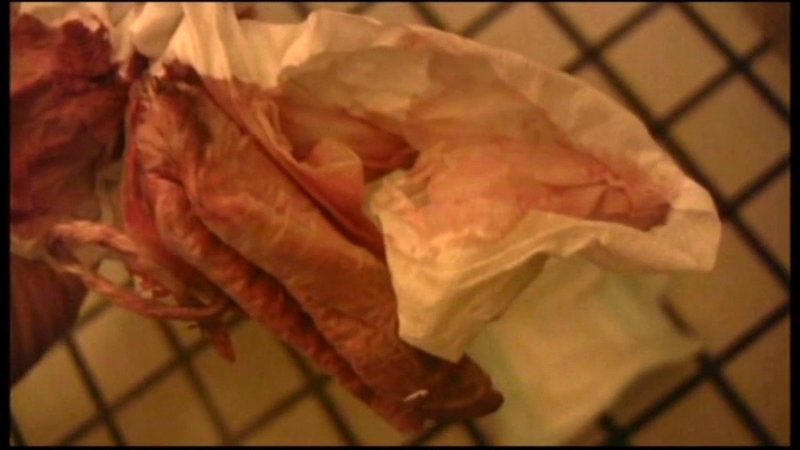 サンプル画像 6