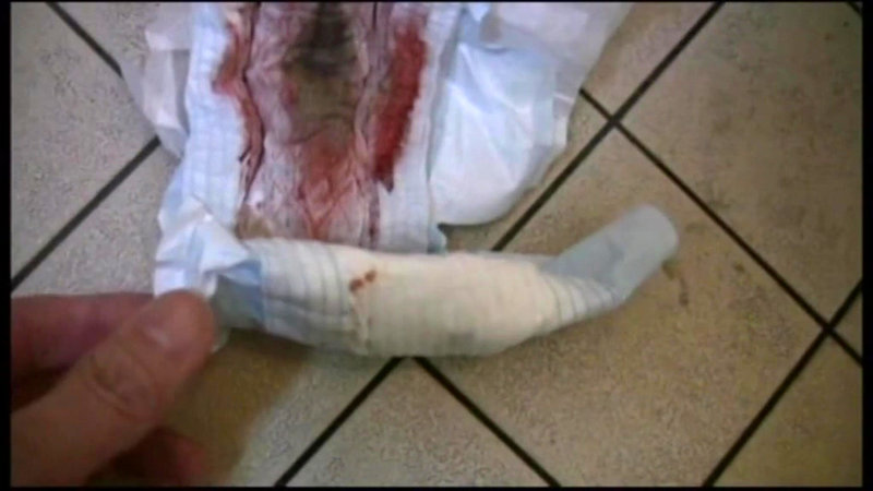 サンプル画像 10