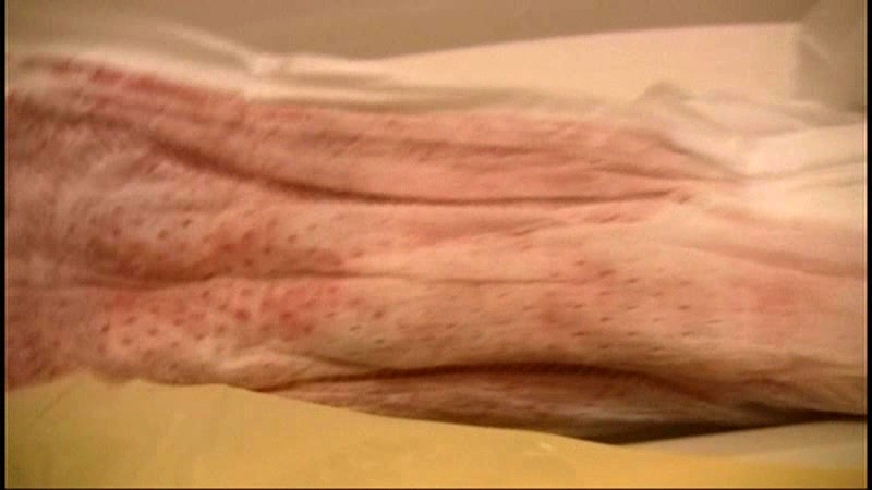 サンプル画像 13