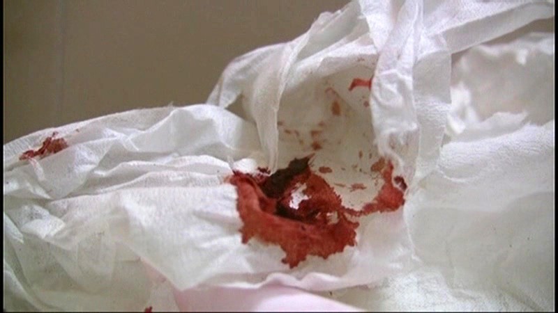 サンプル画像 15