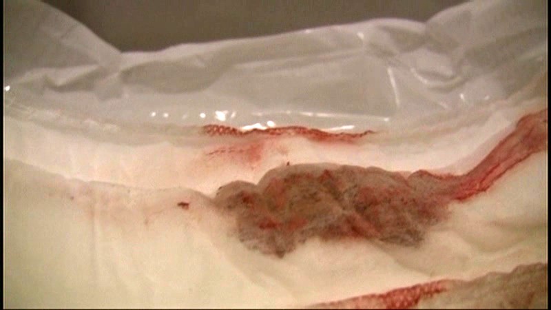 サンプル画像 16