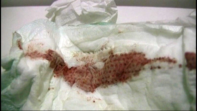 サンプル画像 18