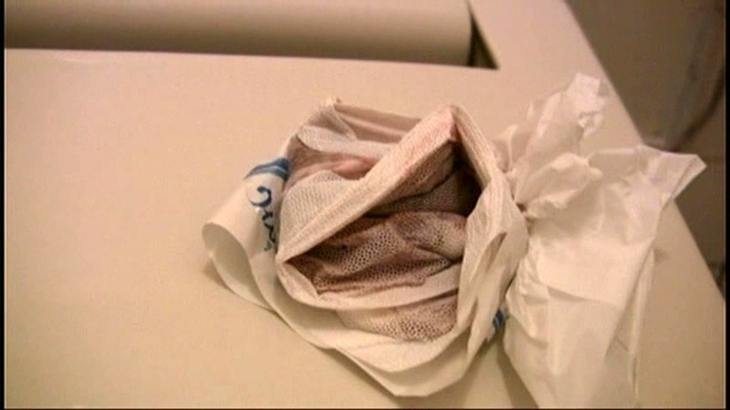 サンプル画像 6