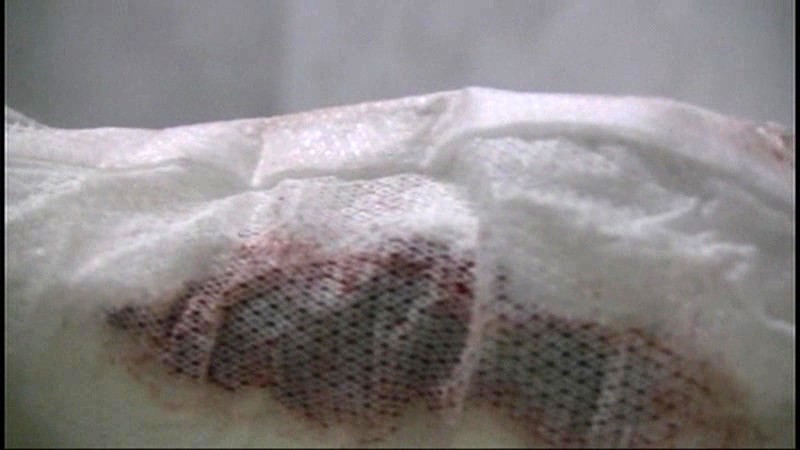 サンプル画像 10