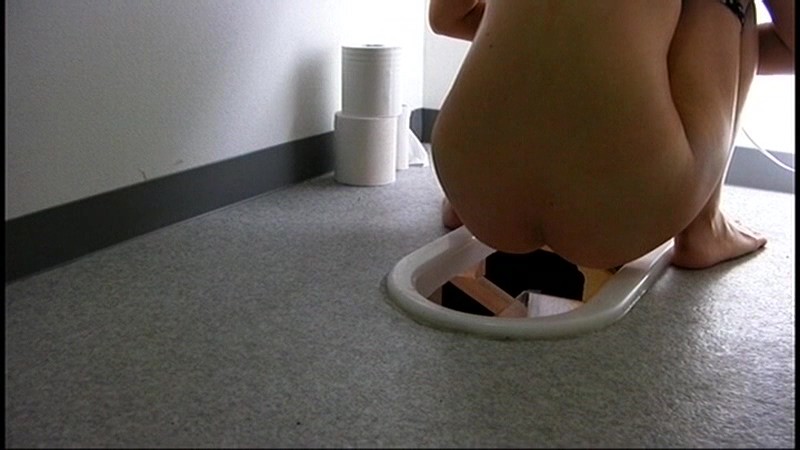 サンプル画像 12