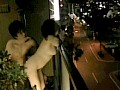 サンプル画像 31
