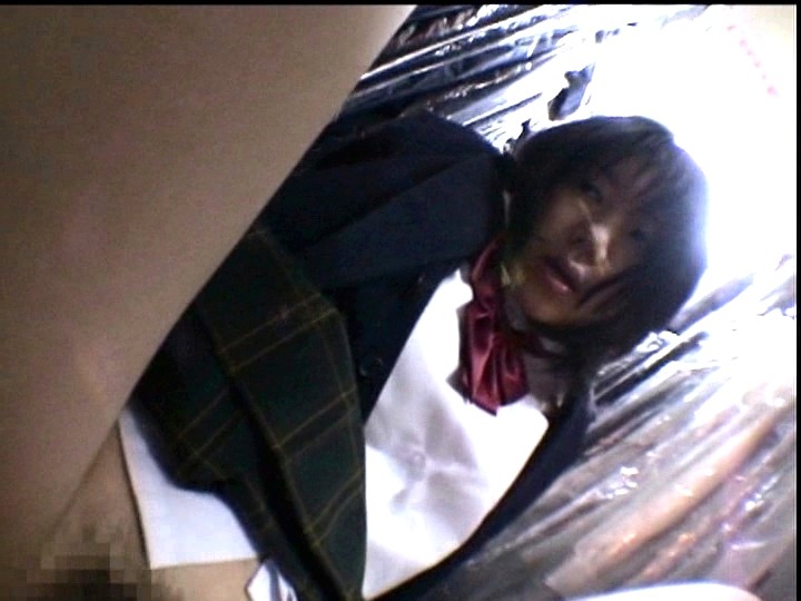 サンプル画像 8