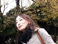 サンプル画像 15