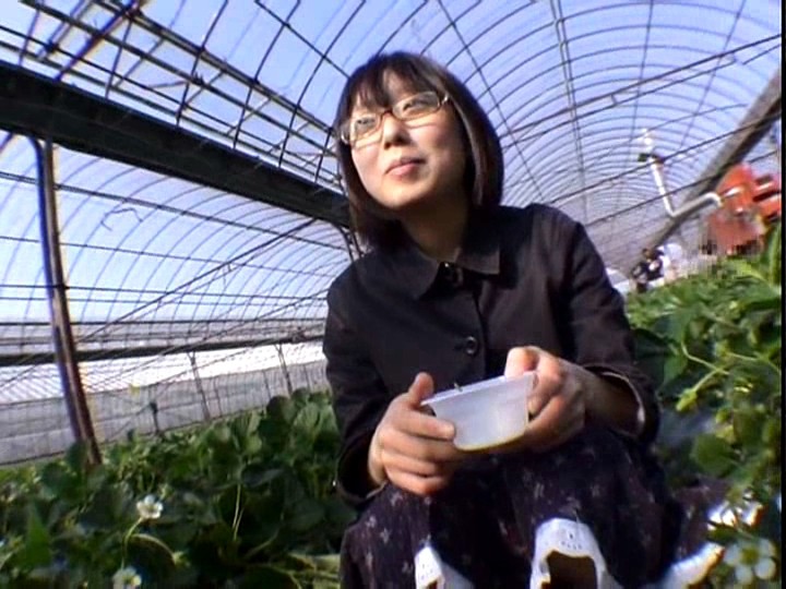 サンプル画像 3