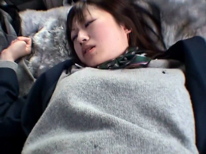 サンプル画像 12