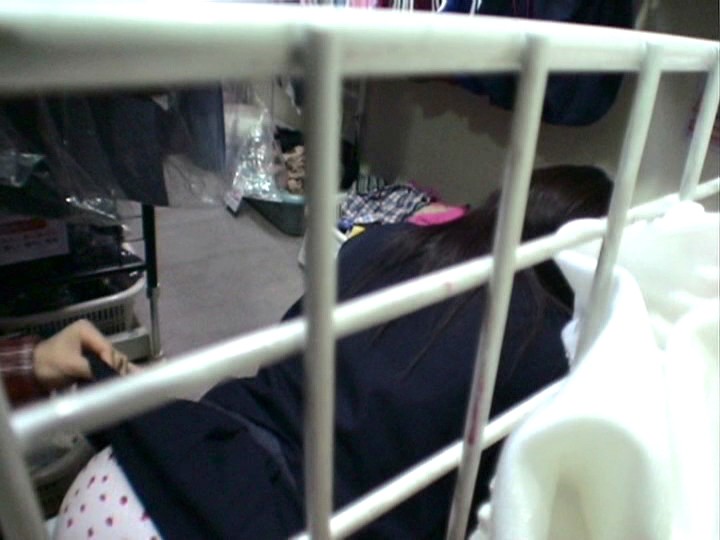 サンプル画像 4